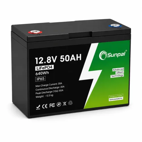 Sunpal 12V 50Ah LiFePO4 Lithium Battery Deep Cycle Smart BMS Malaysia