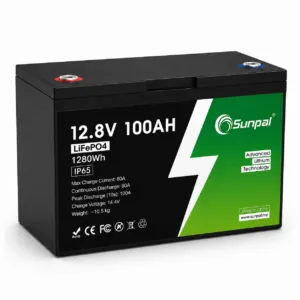 Sunpal 12V 100Ah LiFePO4 Lithium Battery – Deep Cycle, Smart BMS